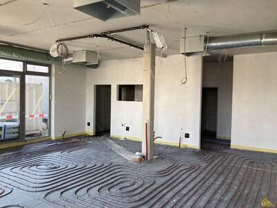 Gewerbeobjekt kaufen in 4492 Hofkirchen (Bild 5)