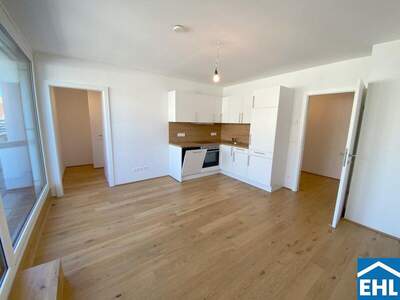 Terrassenwohnung mieten in 1100 Wien (Bild 1)