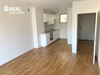 Terrassenwohnung mieten in 2340 Mödling (Bild 3)