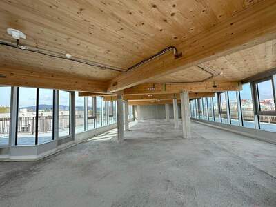 Gewerbeobjekt mieten in 2351 Wiener Neudorf (Bild 5)