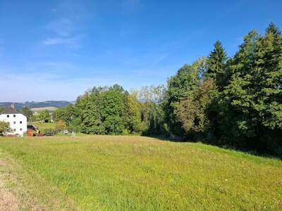 Grundstück kaufen in 4113 Sankt Martin