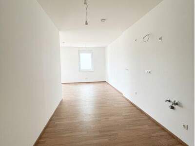 Terrassenwohnung mieten in 2700 Wr. Neustadt (Bild 2)