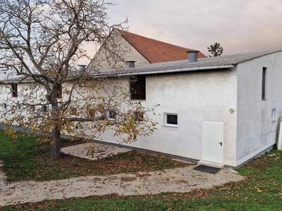 Gewerbeobjekt mieten in 2404 Petronell