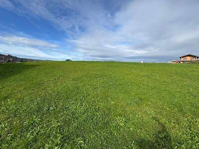 Grundstück kaufen in 5300 Hallwang