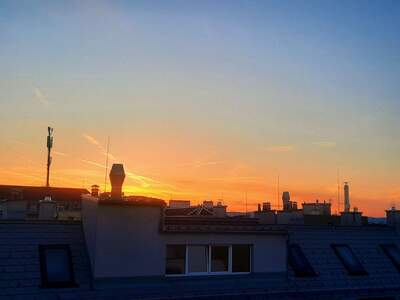 Apartment provisionsfrei kaufen in 1100 Wien