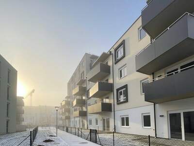 Mietwohnung in 2700 Wiener Neustadt