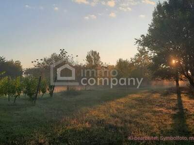 Gewerbeobjekt kaufen in 7142 Illmitz