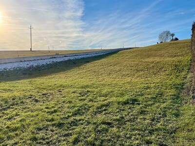 Grundstück kaufen in 4201 Feldsdorf