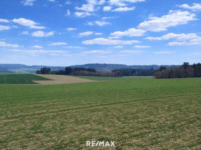 Gewerbeobjekt kaufen in 4762 St. Willibald