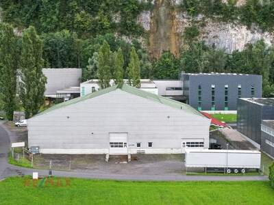 Gewerbeobjekt kaufen in 6845 Hohenems (Bild 2)