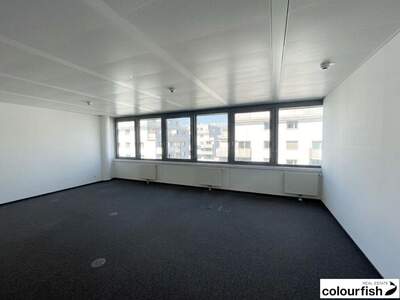 Gewerbeobjekt mieten in 1020 Wien (Bild 4)