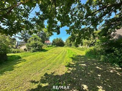 Haus kaufen in 2165 Drasenhofen