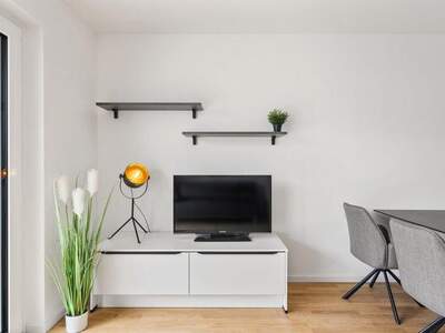 Terrassenwohnung mieten in 2344 Maria Enzersdorf (Bild 4)