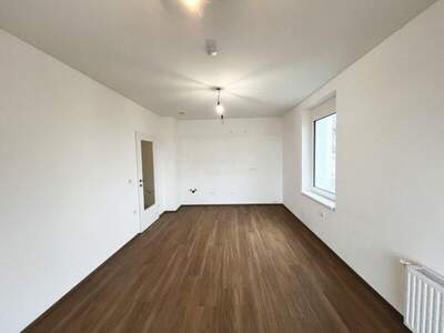 Terrassenwohnung mieten in 3062 Kirchstetten (Bild 5)