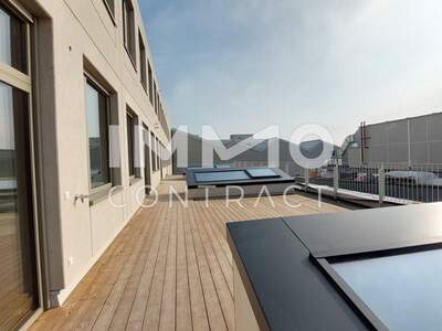 Gewerbeobjekt mieten in 1230 Wien (Bild 2)