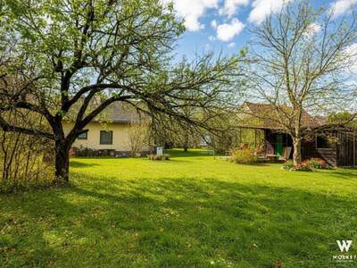 Haus kaufen in 1220 Wien