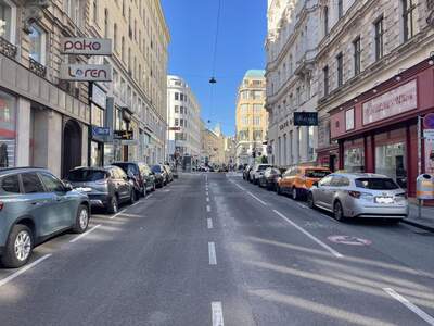 Gewerbeobjekt mieten in 1060 Wien (Bild 3)