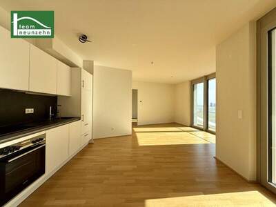 Terrassenwohnung mieten in 1100 Wien (Bild 2)