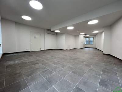 Gewerbeobjekt mieten in 1170 Wien (Bild 2)