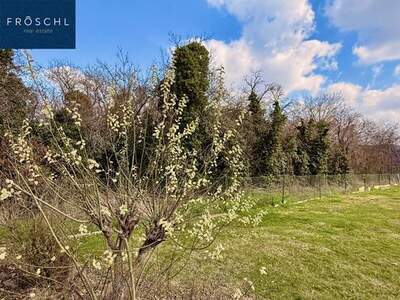 Grundstück kaufen in 3591 Altenburg