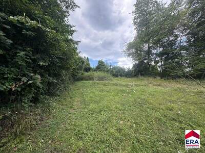 Grundstück kaufen in 3413 Hintersdorf