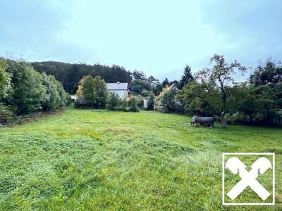 Grundstück kaufen in 2733 Grünbach (Bild 1)