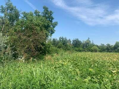 Grundstück provisionsfrei mieten in 8490 Bad Radkersburg