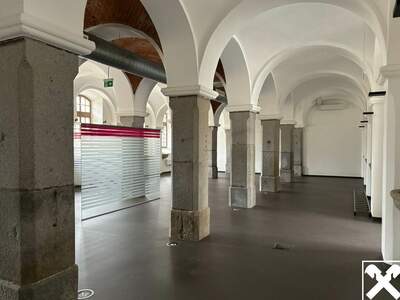 Gewerbeobjekt mieten in 4470 Enns (Bild 4)