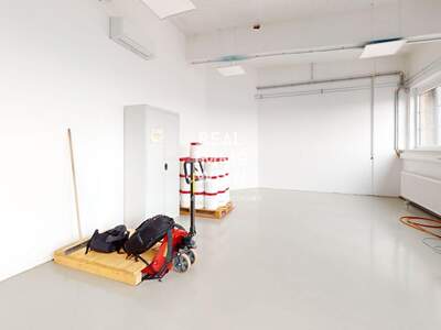 Gewerbeobjekt mieten in 2514 Traiskirchen (Bild 5)