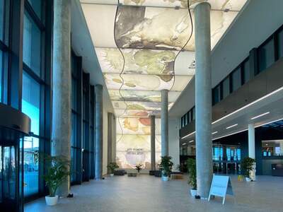 Gewerbeobjekt mieten in 1210 Wien (Bild 3)