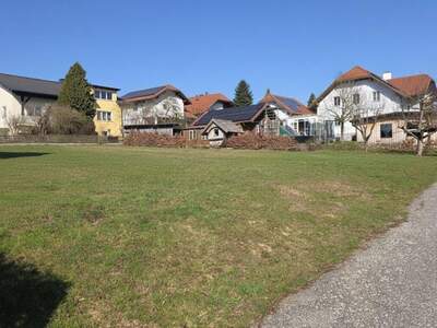 Grundstück kaufen in 4755 Zell