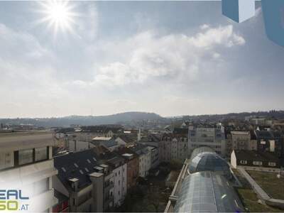 Gewerbeobjekt mieten in 4040 Linz (Bild 3)