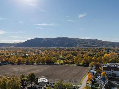 Einfamilienhaus kaufen in 2103 Langenzersdorf (Bild 2)