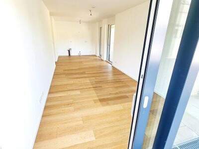 Terrassenwohnung kaufen in 2391 Kaltenleutgeben (Bild 4)