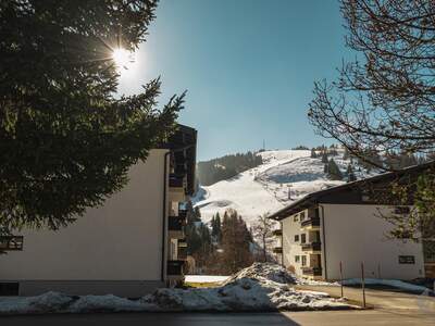 Eigentumswohnung in 5761 Maria Alm