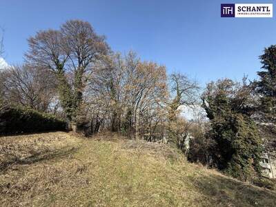 Grundstück kaufen in 8052 Graz (Bild 4)