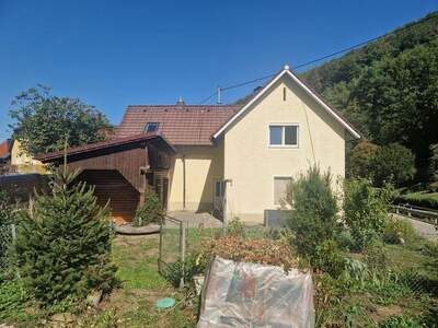 Haus kaufen in 4451 Garsten