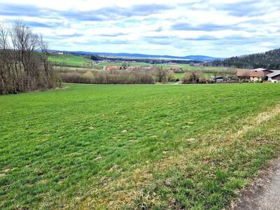 Land- und Forstwirtschaft kaufen in 5204 Straßwalchen