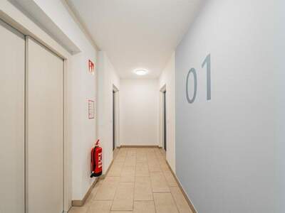 Mietwohnung in 1220 Wien (Bild 4)