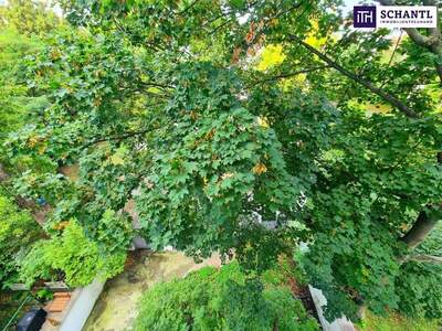 Terrassenwohnung kaufen in 1030 Wien (Bild 2)