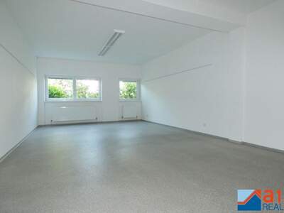 Gewerbeobjekt mieten in 4050 Traun (Bild 2)