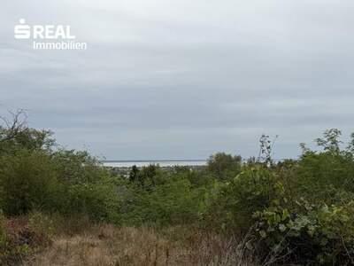 Grundstück kaufen in 7100 Neusiedl
