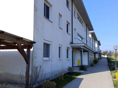 Mietwohnung in 2751 Matzendorf