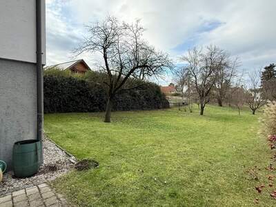 Haus kaufen in 2801 Katzelsdorf