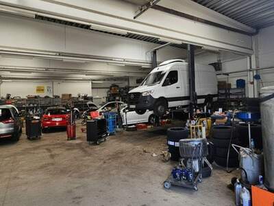 Gewerbeobjekt kaufen in 1230 Wien (Bild 5)