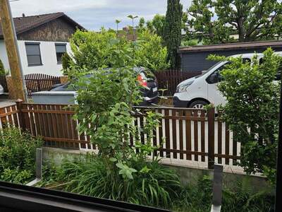 Einfamilienhaus kaufen in 1220 Wien (Bild 3)