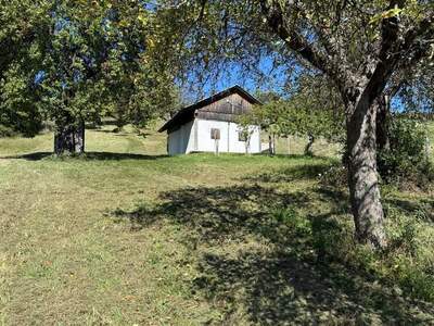 Haus kaufen in 7540 Inzenhof