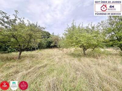 Grundstück kaufen in 2721 Bad Fischau