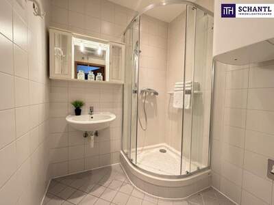 Terrassenwohnung mieten in 8020 Graz (Bild 5)