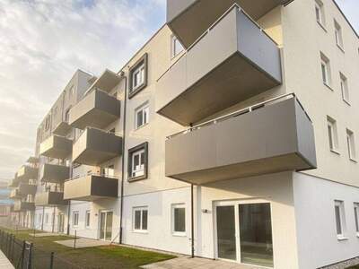 Wohnung mieten in 2700 Wiener Neustadt